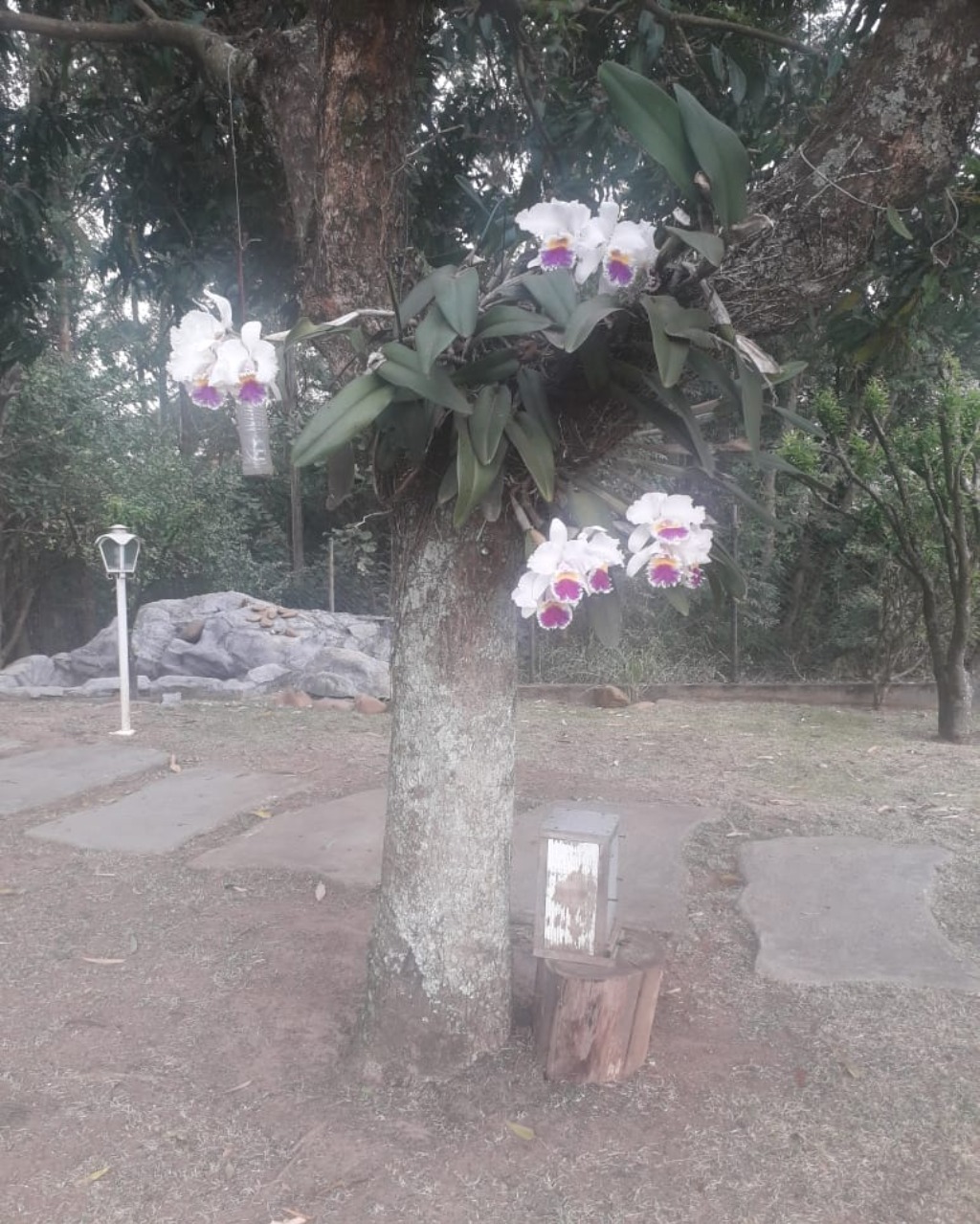 Casa de Condomínio, 3 quartos - Foto 25