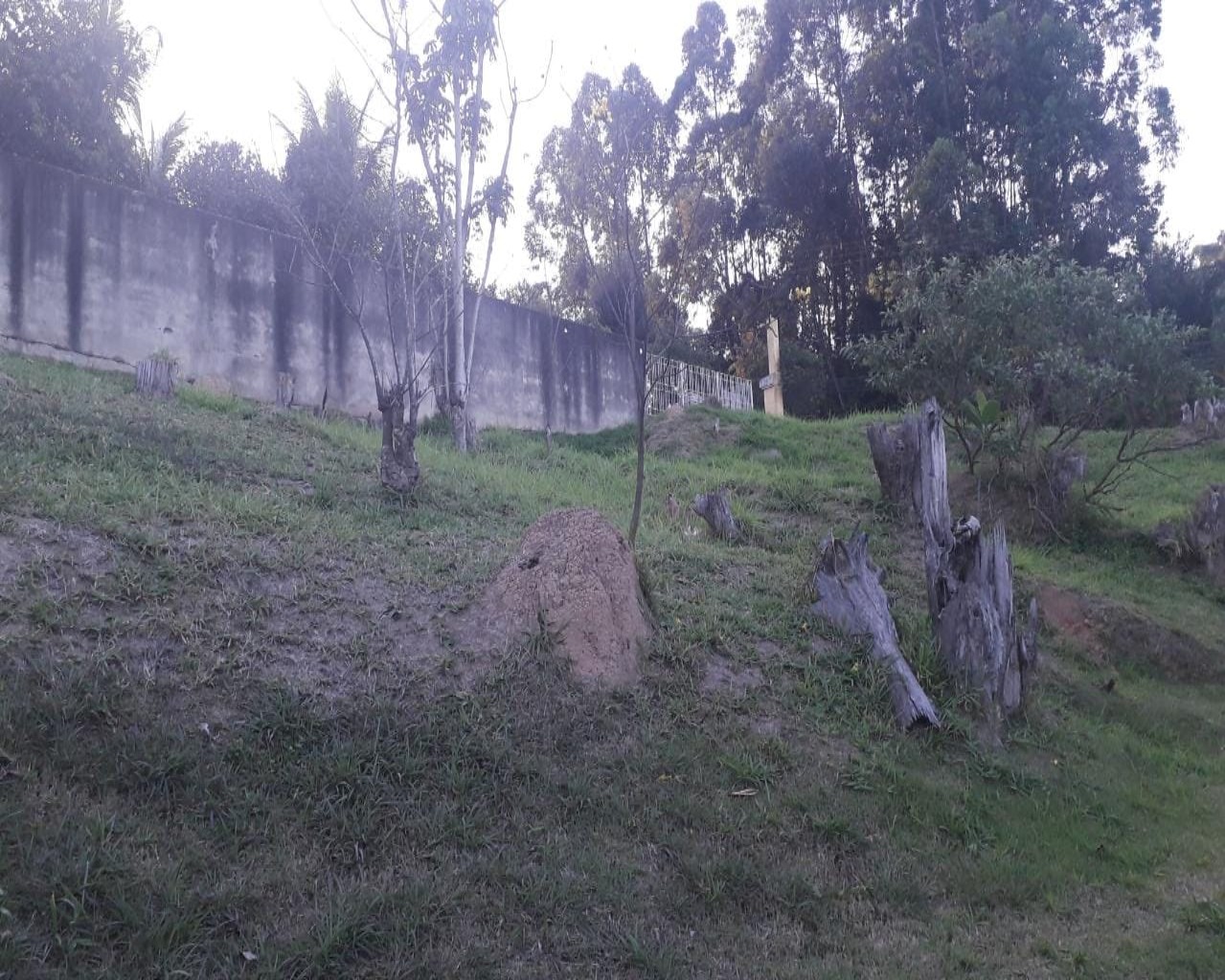 Terreno, 2018 m² - Foto 9