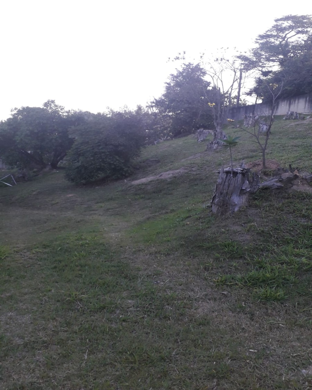 Terreno, 2018 m² - Foto 7