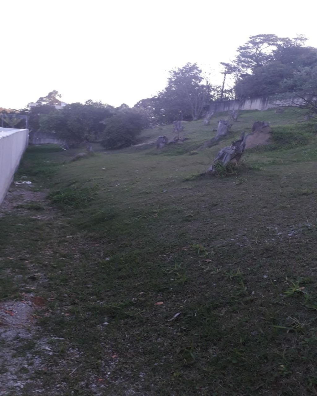 Terreno, 2018 m² - Foto 15