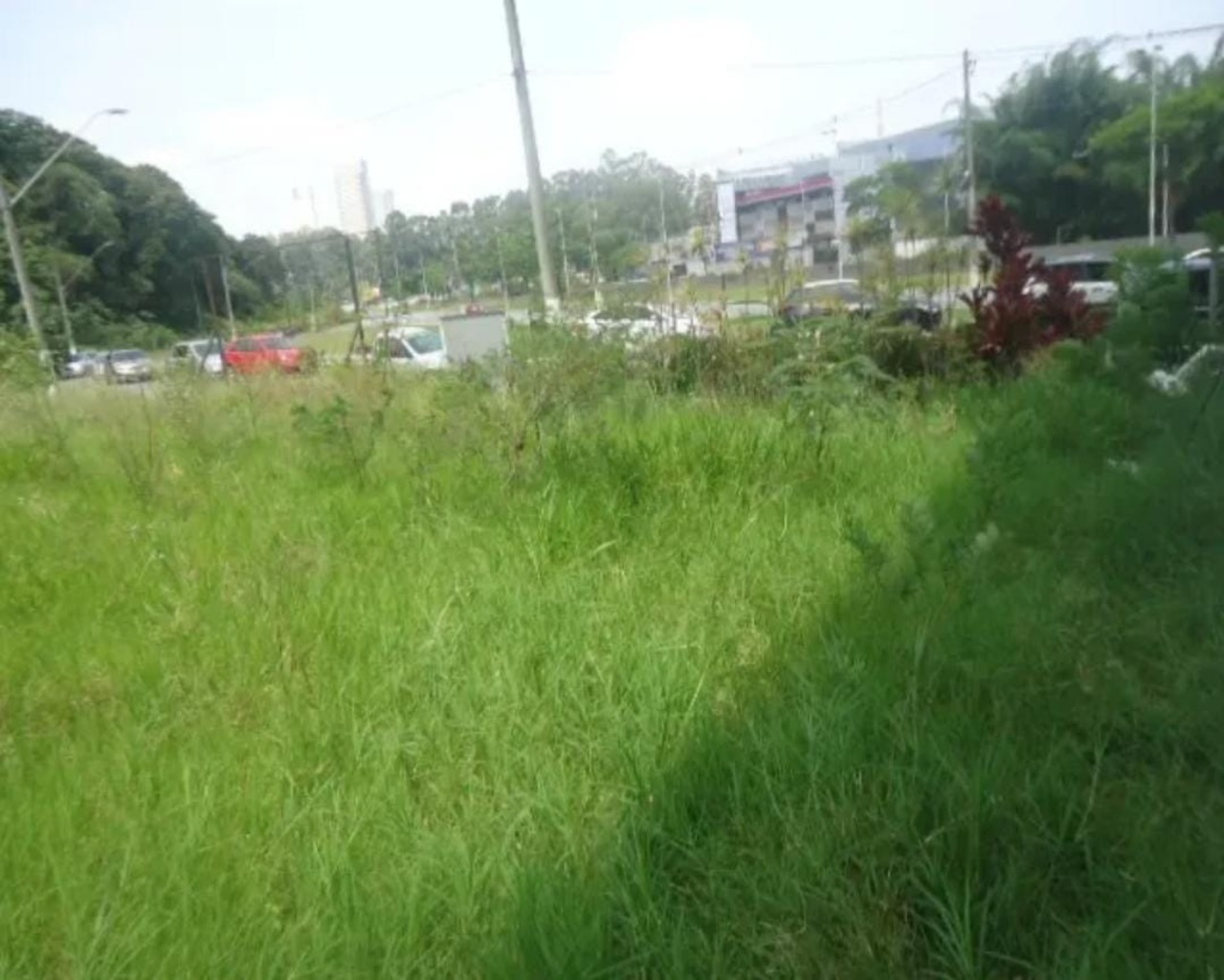 Loteamento e Condomínio - Foto 5