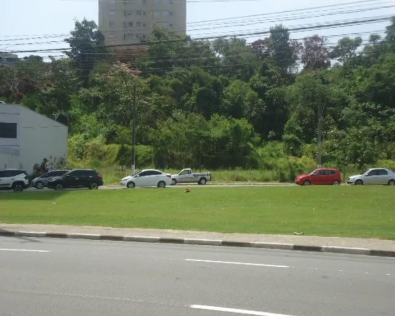 Loteamento e Condomínio - Foto 4