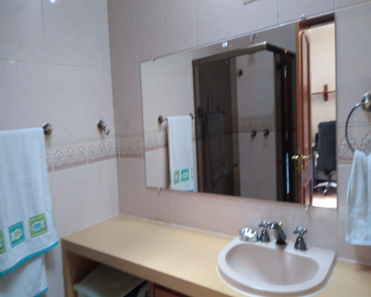 Casa, 4 quartos, 371 m² - Foto 3