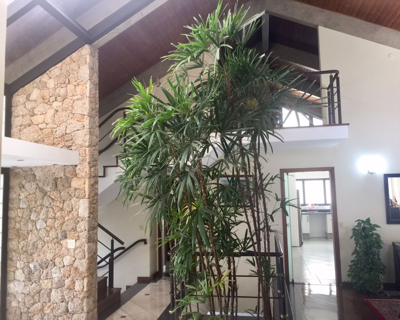 Casa, 4 quartos, 620 m² - Foto 36