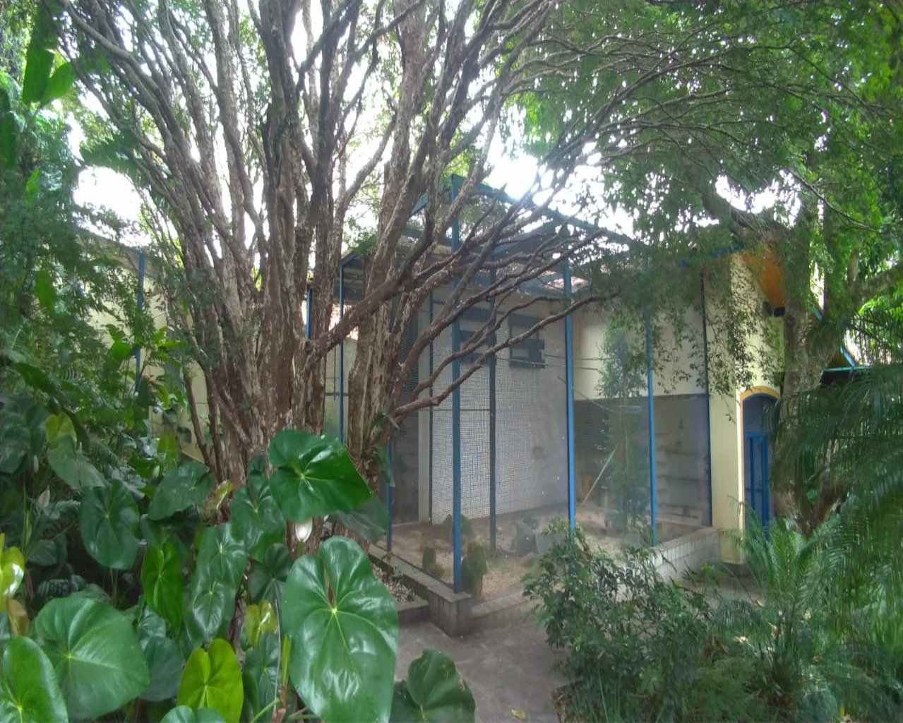 Casa, 3 quartos, 332 m² - Foto 8