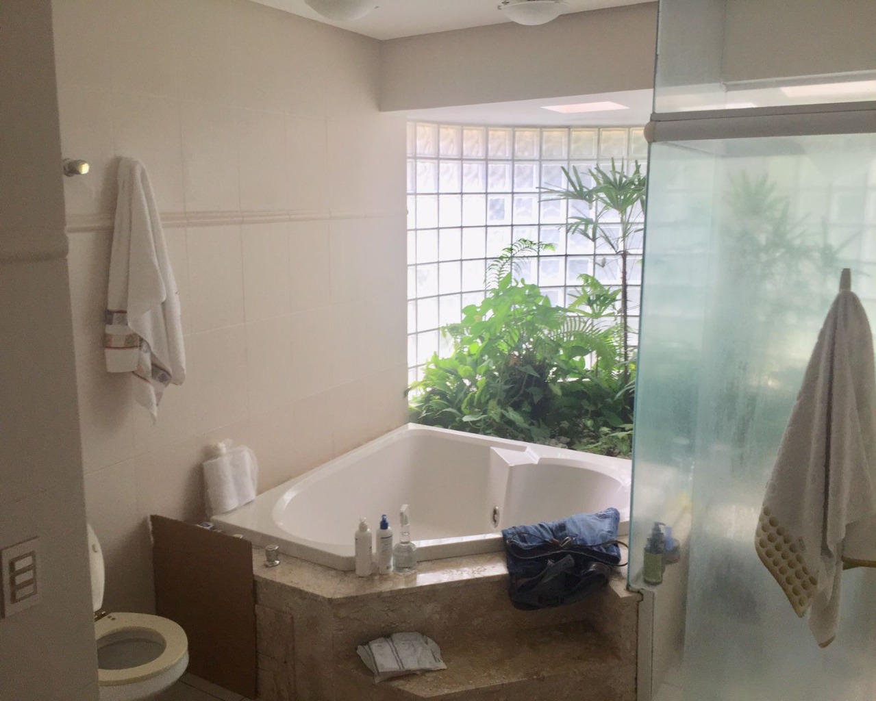 Casa, 4 quartos, 620 m² - Foto 82