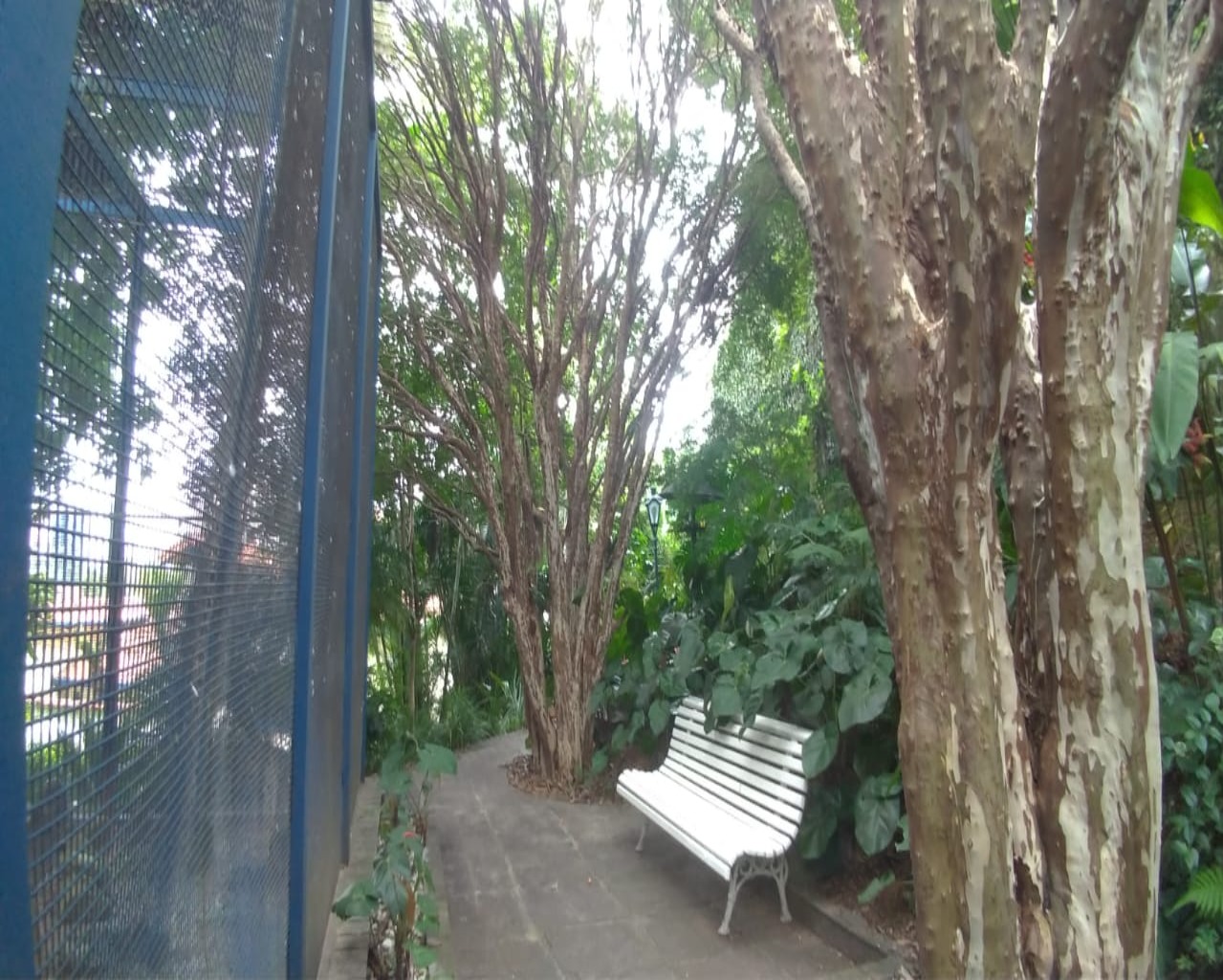 Casa, 3 quartos, 332 m² - Foto 5