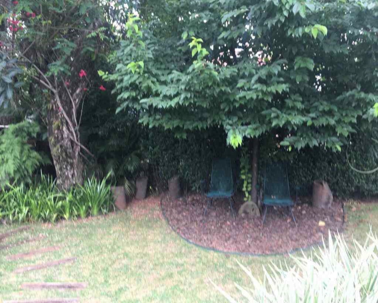 Casa, 4 quartos, 450 m² - Foto 5