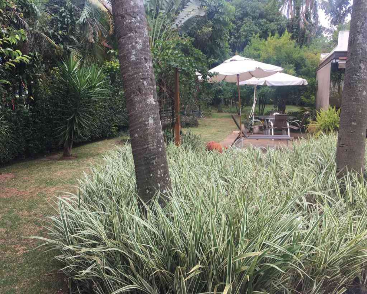 Casa, 4 quartos, 450 m² - Foto 8