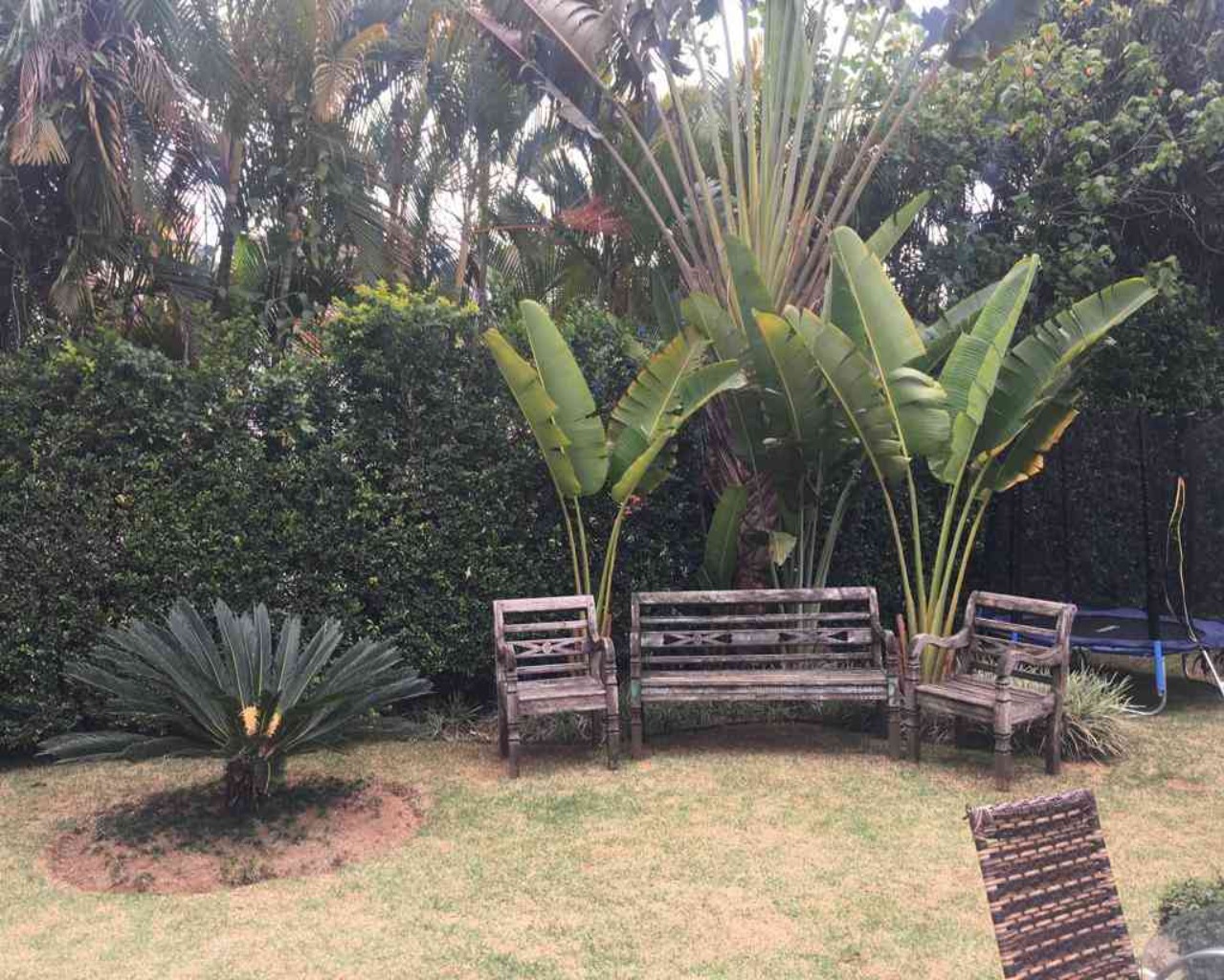 Casa, 4 quartos, 450 m² - Foto 6