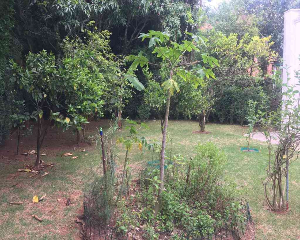 Casa, 4 quartos, 450 m² - Foto 23