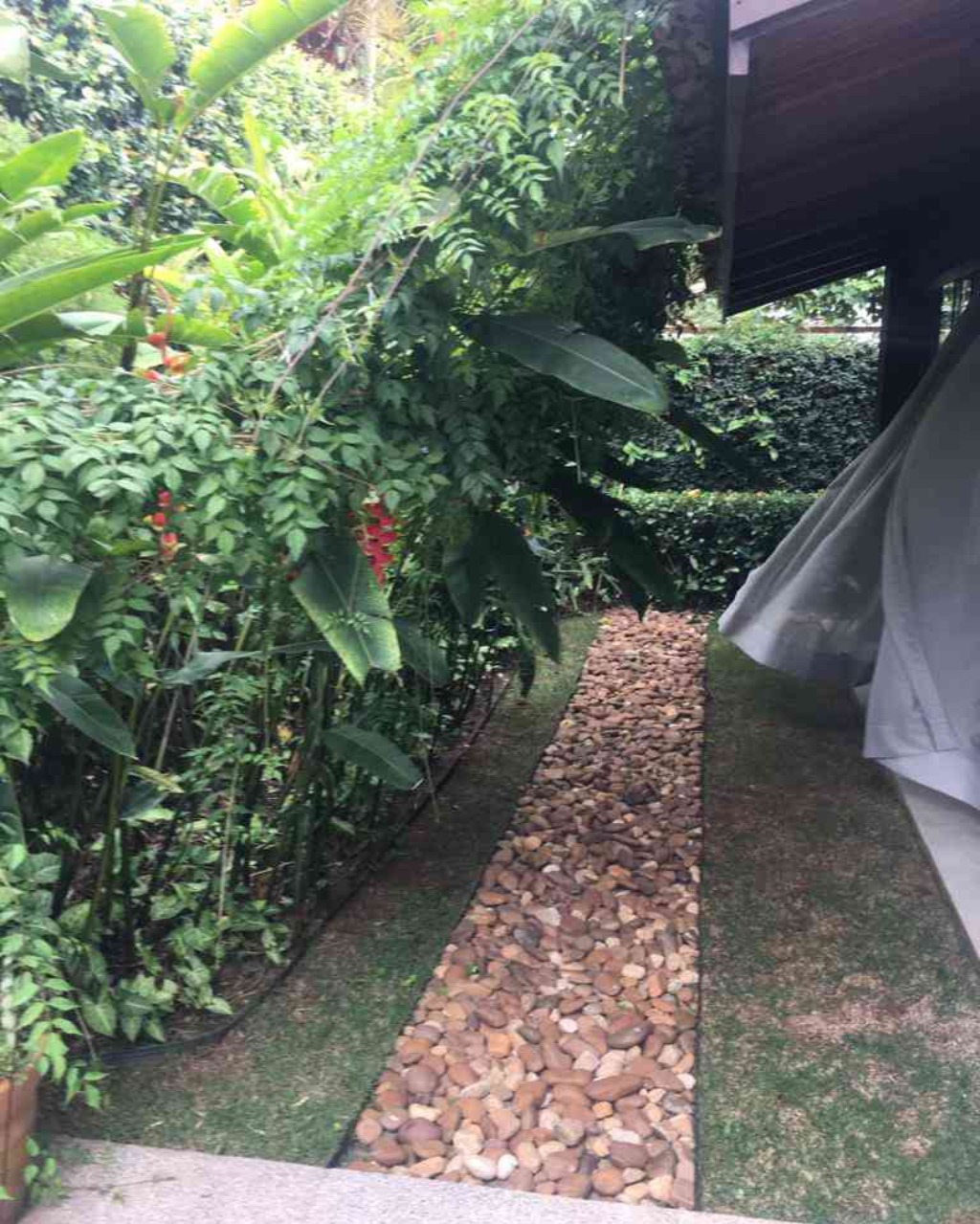 Casa, 4 quartos, 450 m² - Foto 12