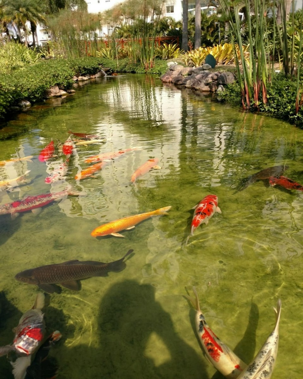 Apartamento, 2 quartos, 113 m² - Foto 38