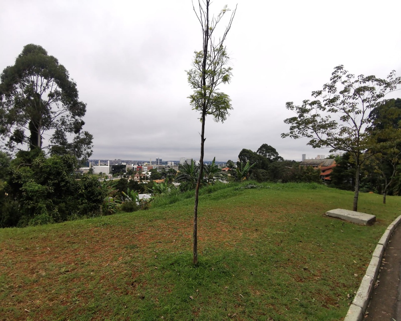 Terreno, 2347 m² - Foto 2