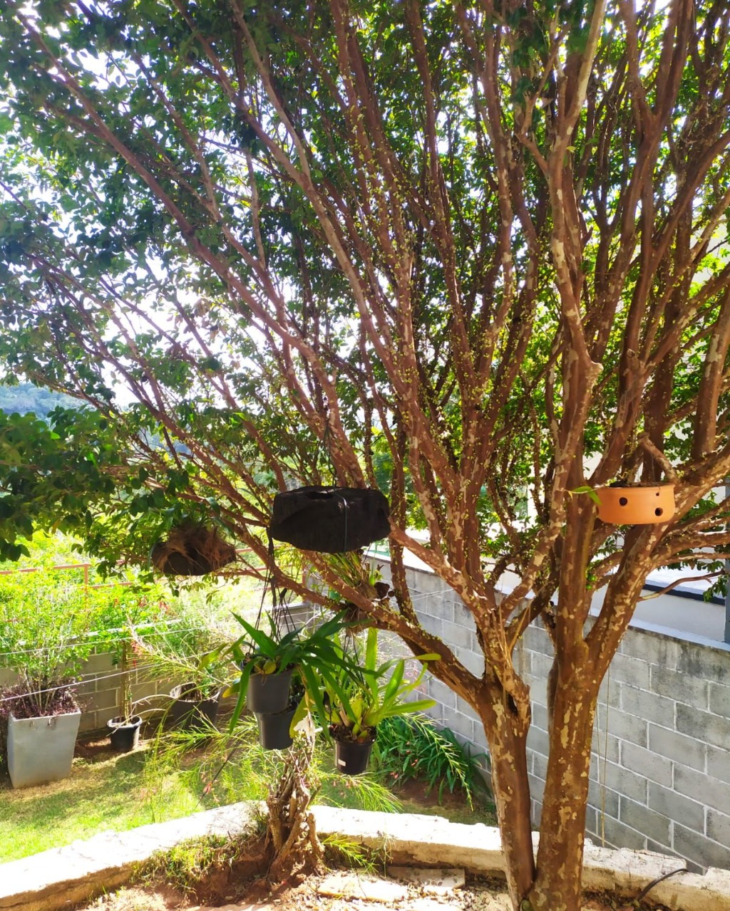 Casa, 4 quartos, 478 m² - Foto 19