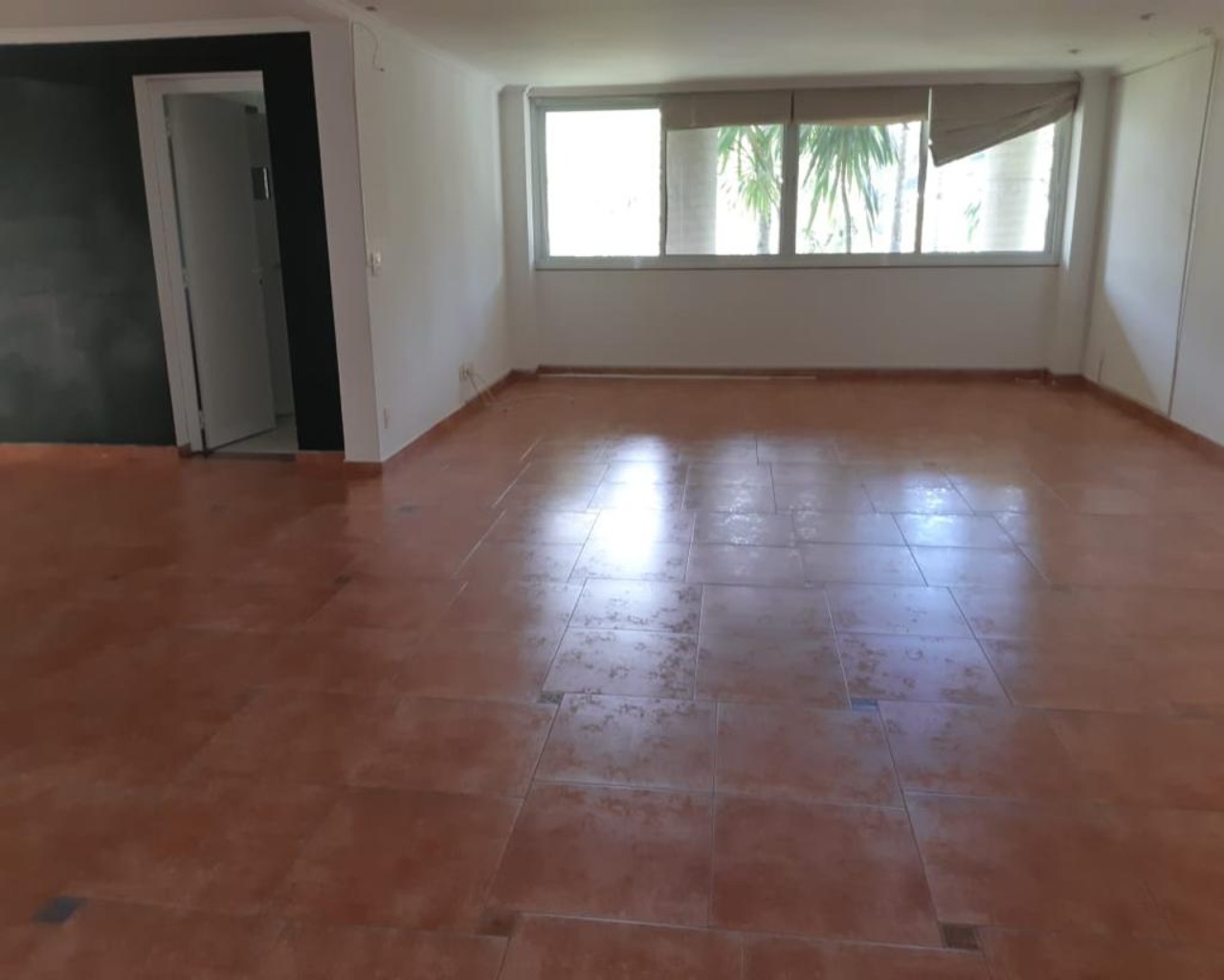Casa, 4 quartos, 700 m² - Foto 13