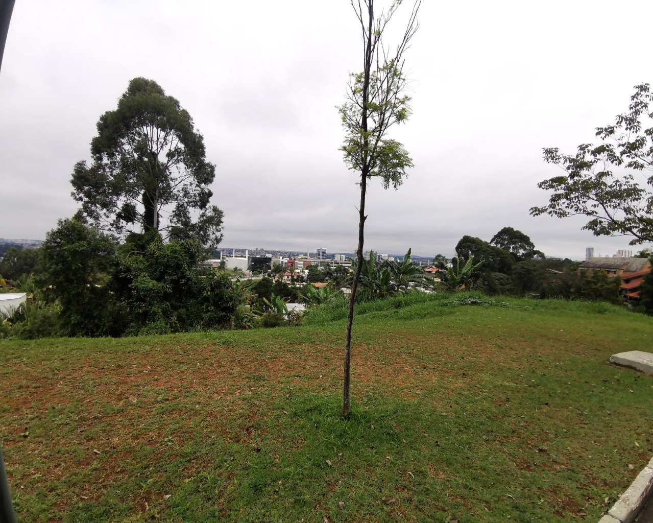 Terreno, 2347 m² - Foto 6