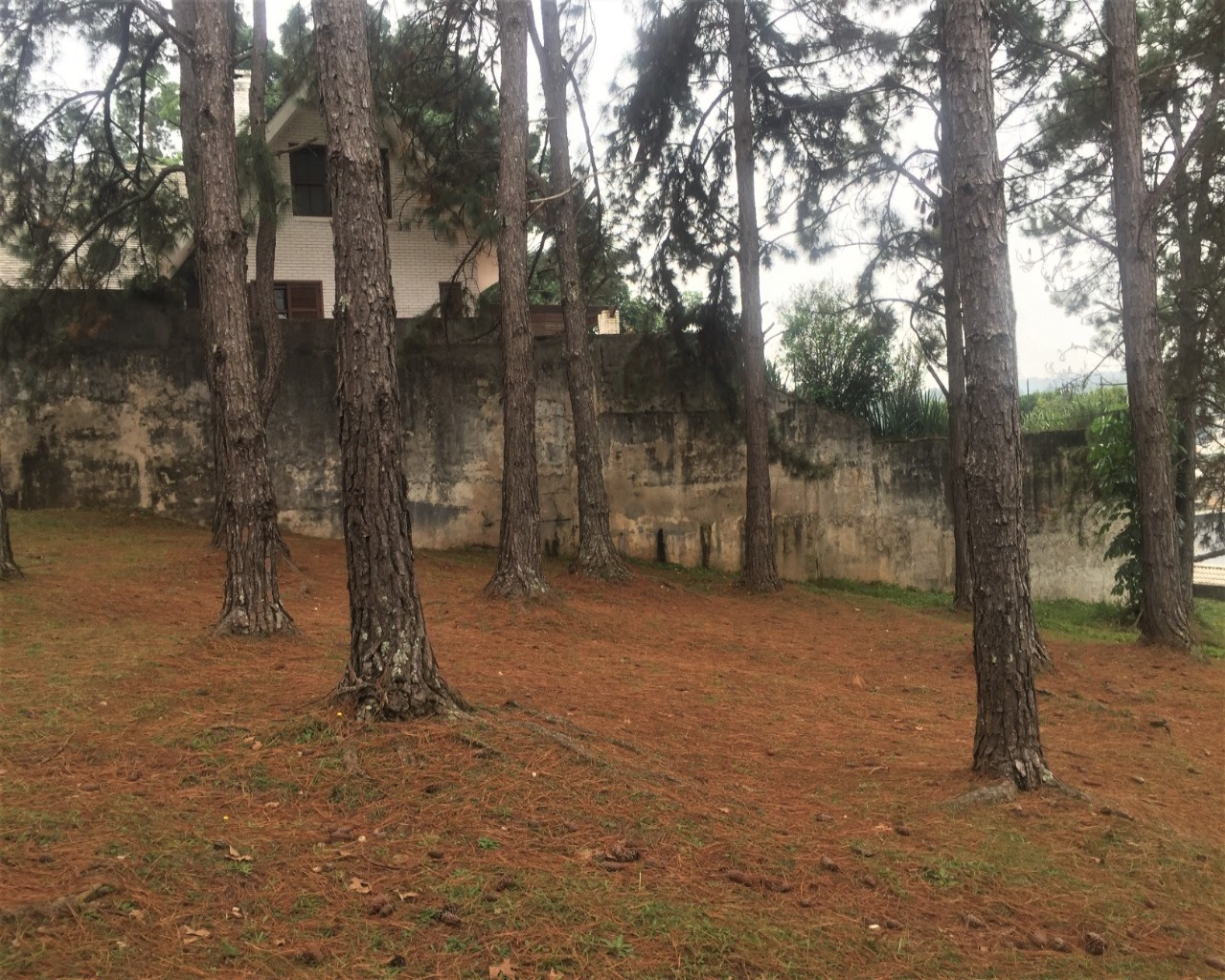 Terreno, 834 m² - Foto 5