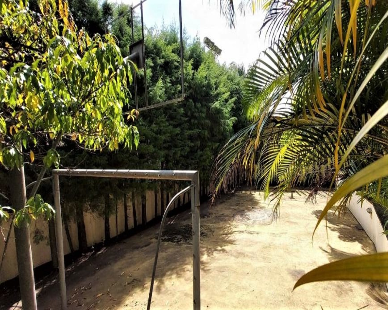 Casa, 5 quartos, 800 m² - Foto 6