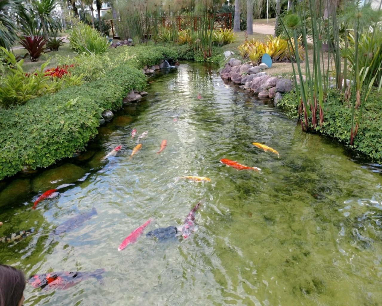 Apartamento, 2 quartos, 113 m² - Foto 63