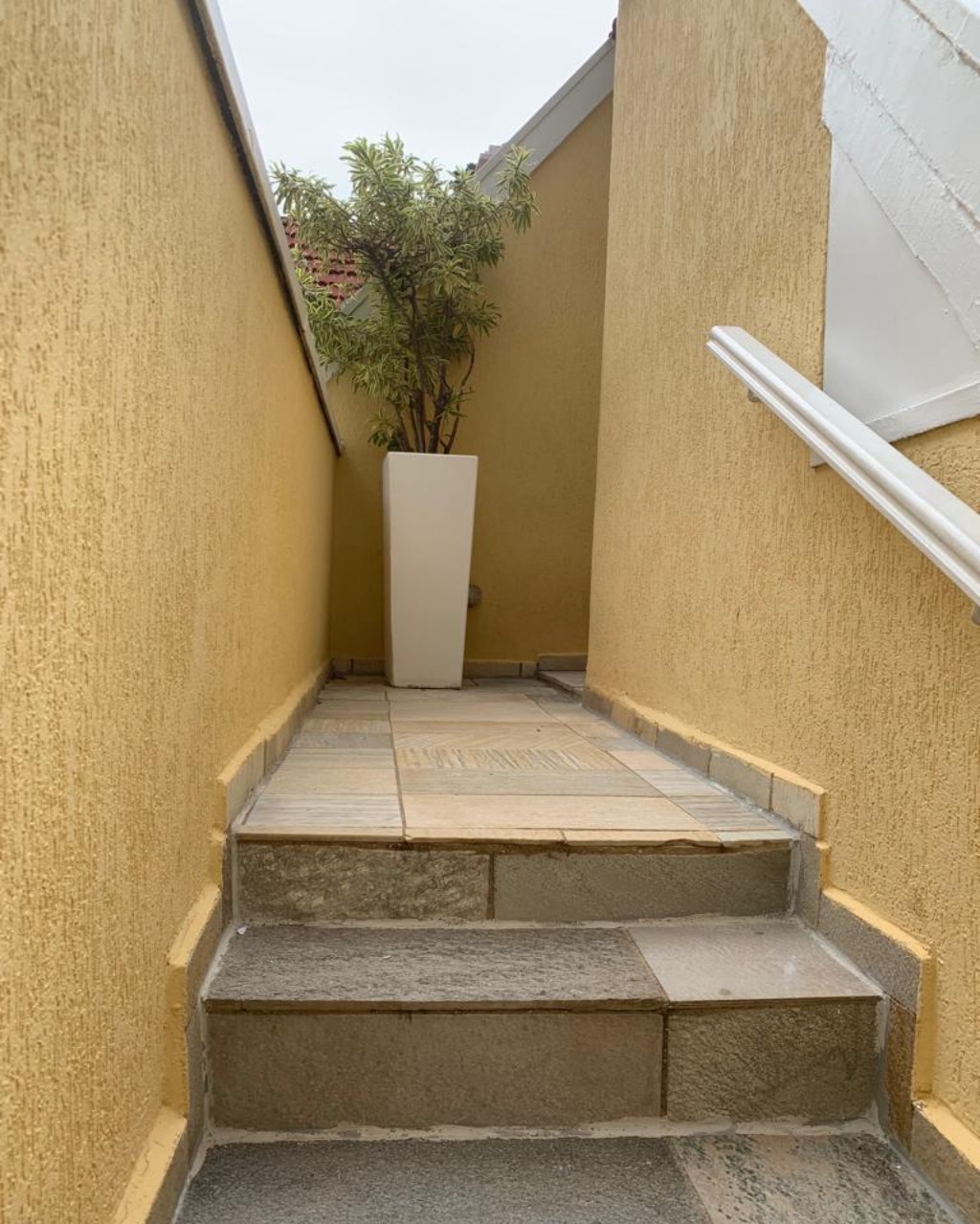 Casa, 4 quartos, 520 m² - Foto 16