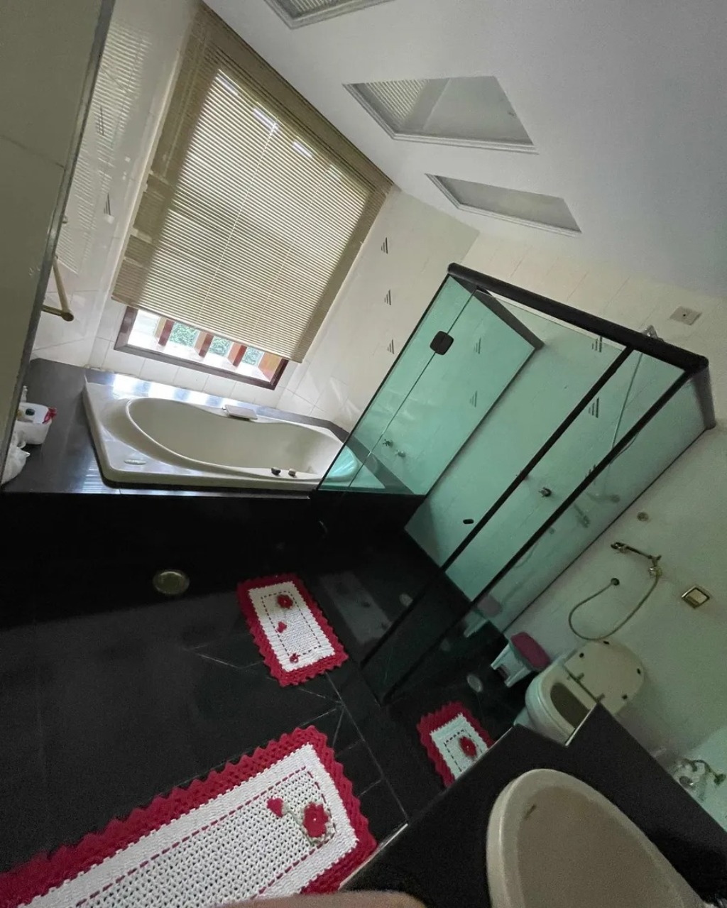 Casa, 4 quartos, 560 m² - Foto 20