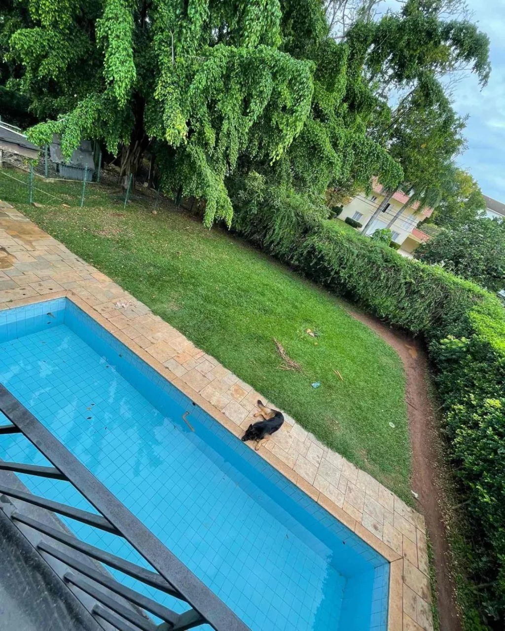 Casa, 4 quartos, 560 m² - Foto 28