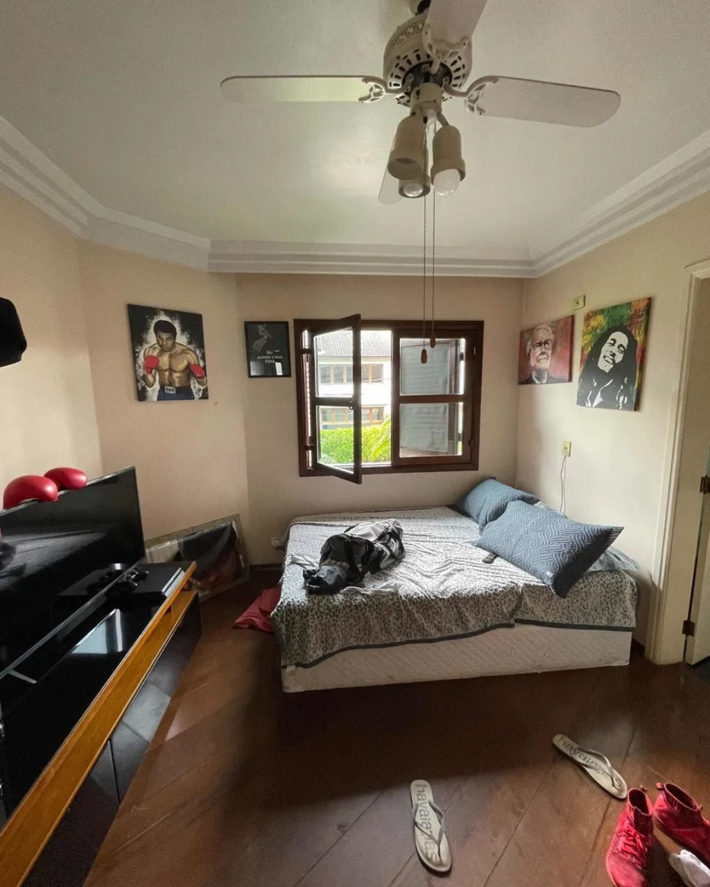 Casa, 4 quartos, 560 m² - Foto 18