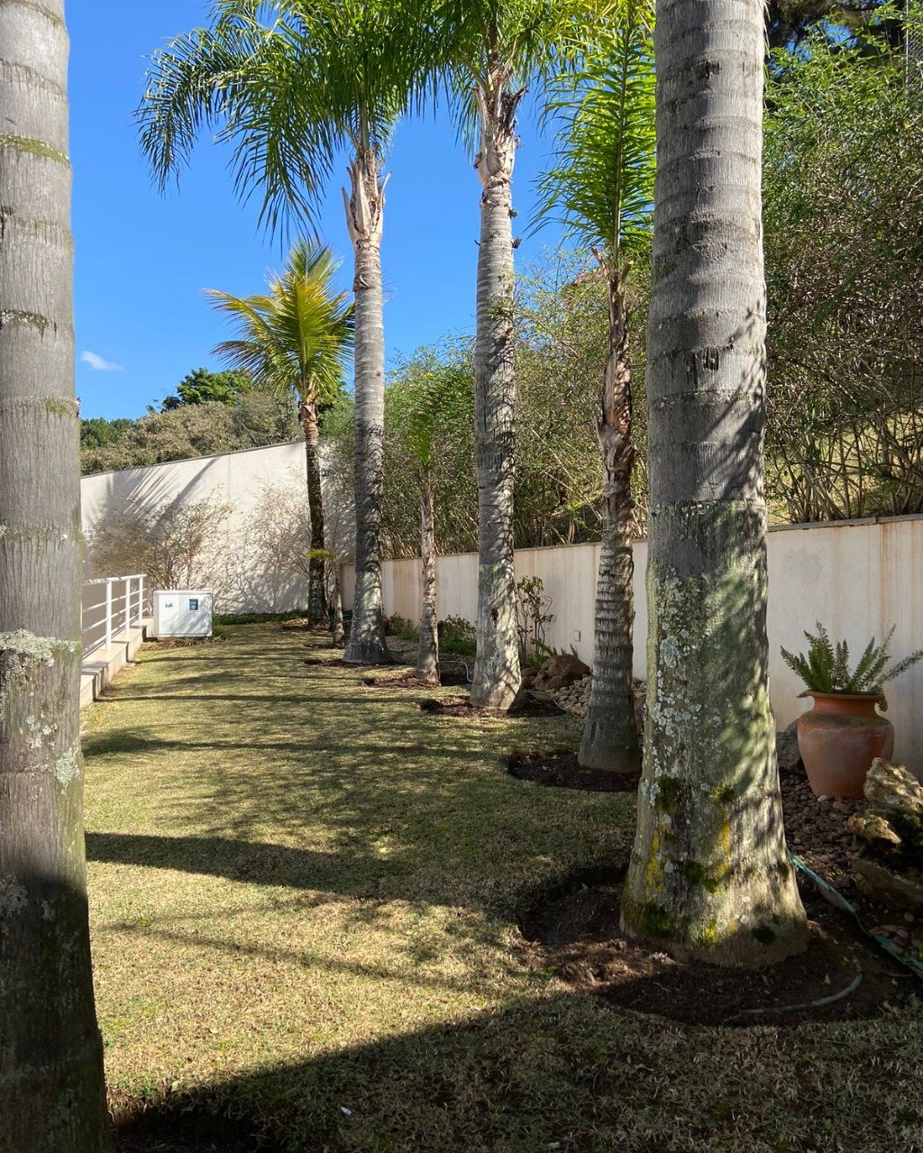 Casa, 4 quartos, 852 m² - Foto 11