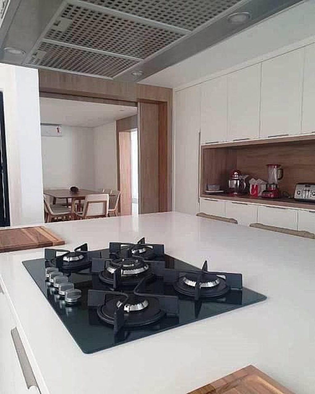 Casa, 5 quartos, 548 m² - Foto 20