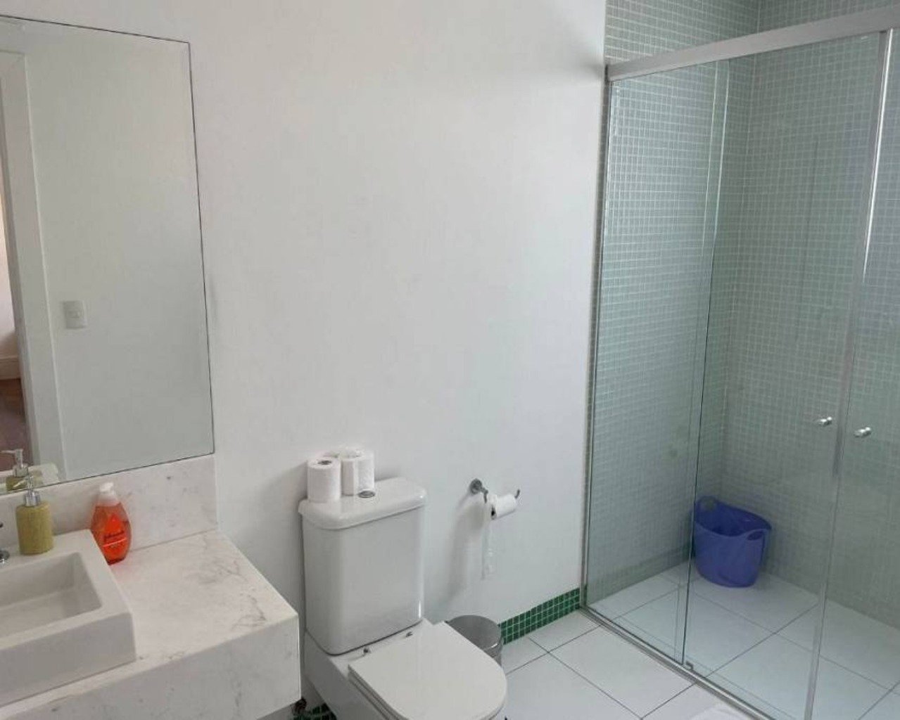 Casa, 4 quartos, 550 m² - Foto 4