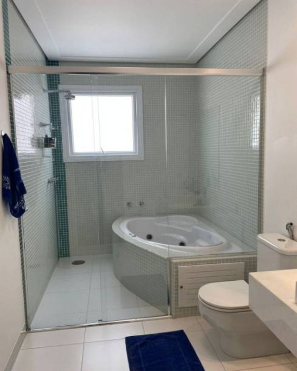 Casa, 4 quartos, 550 m² - Foto 6