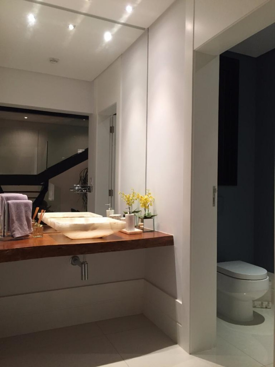 Casa, 4 quartos, 471 m² - Foto 11