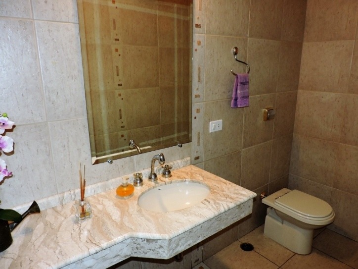 Casa, 4 quartos, 503 m² - Foto 26