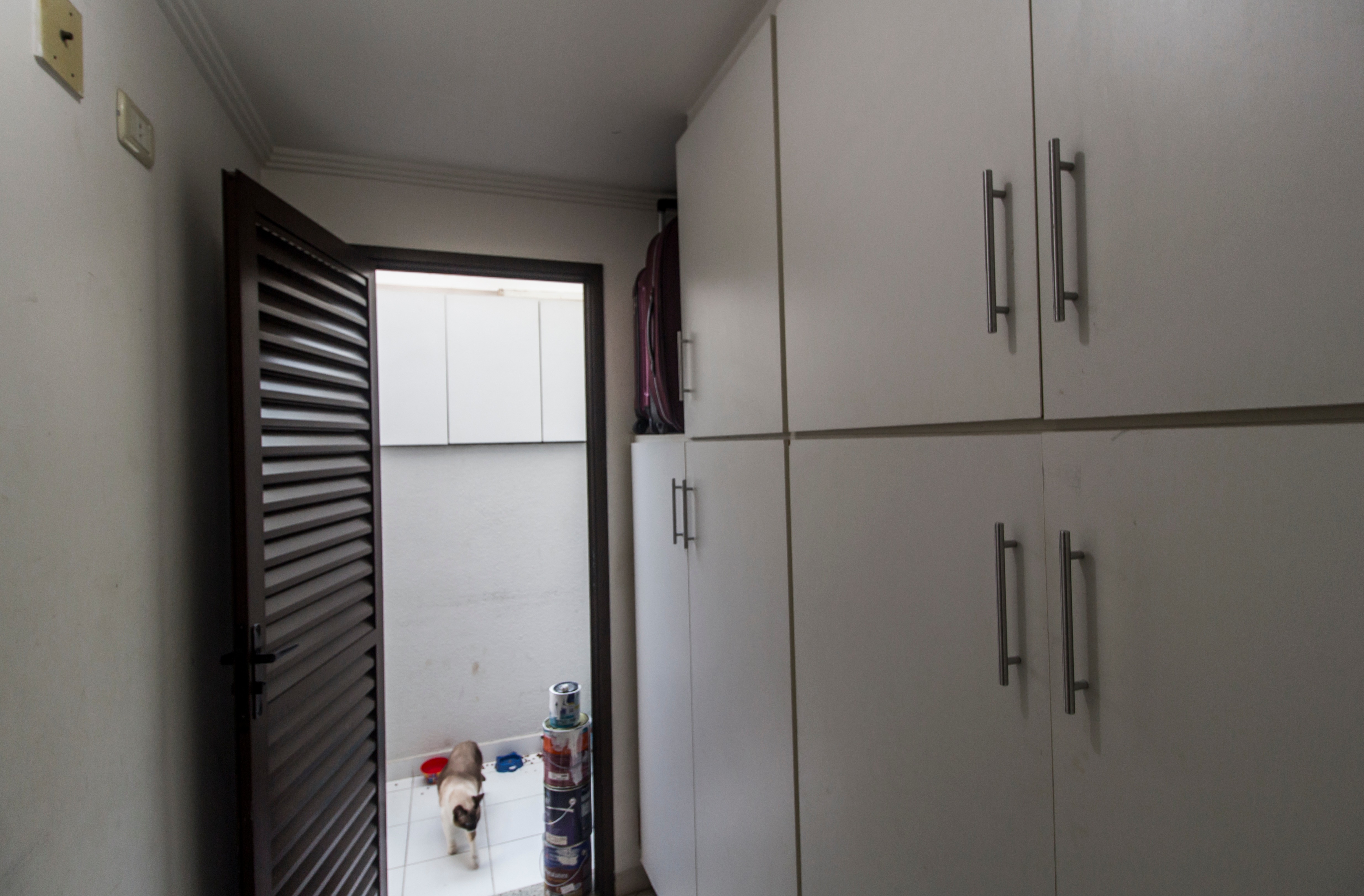 Casa, 4 quartos, 318 m² - Foto 73