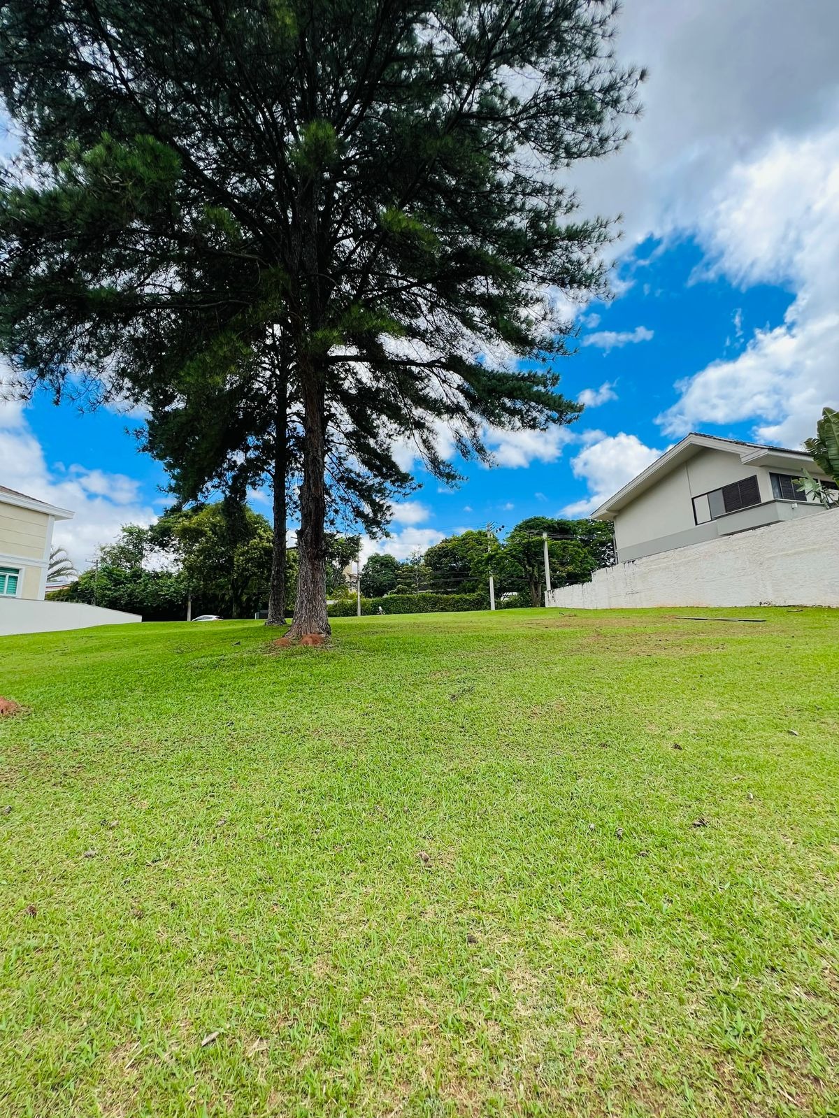 Terreno, 712 m² - Foto 4