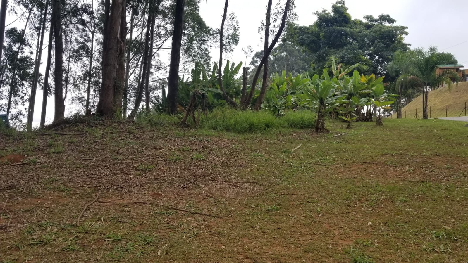 Terreno, 1671 m² - Foto 2