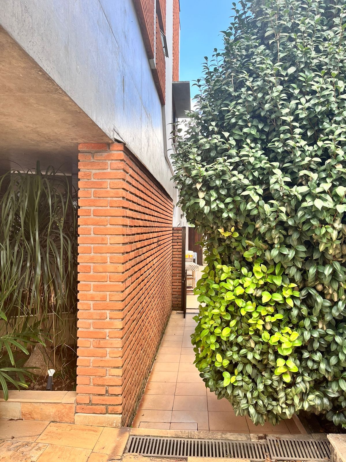 Casa, 3 quartos, 325 m² - Foto 48