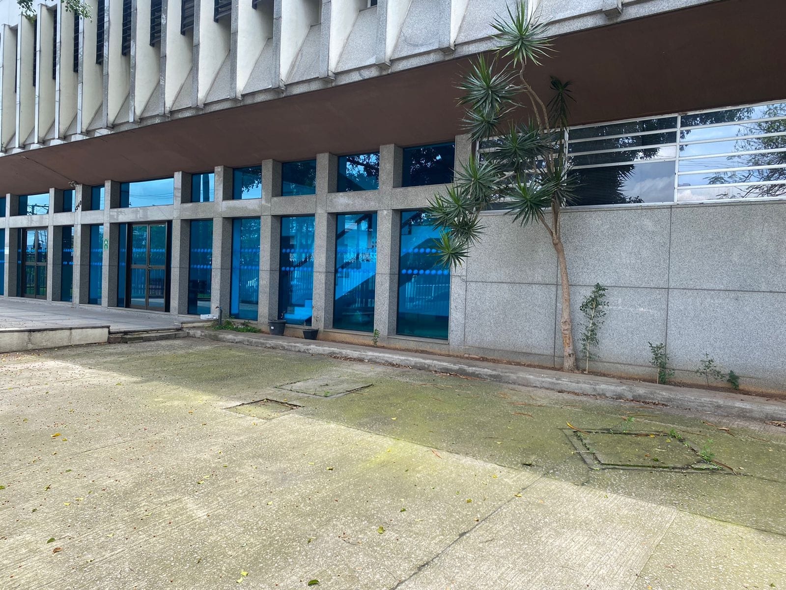 Prédio Inteiro, 4781 m² - Foto 13