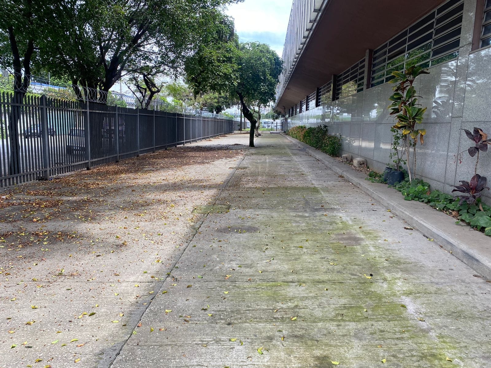Prédio Inteiro, 4781 m² - Foto 4