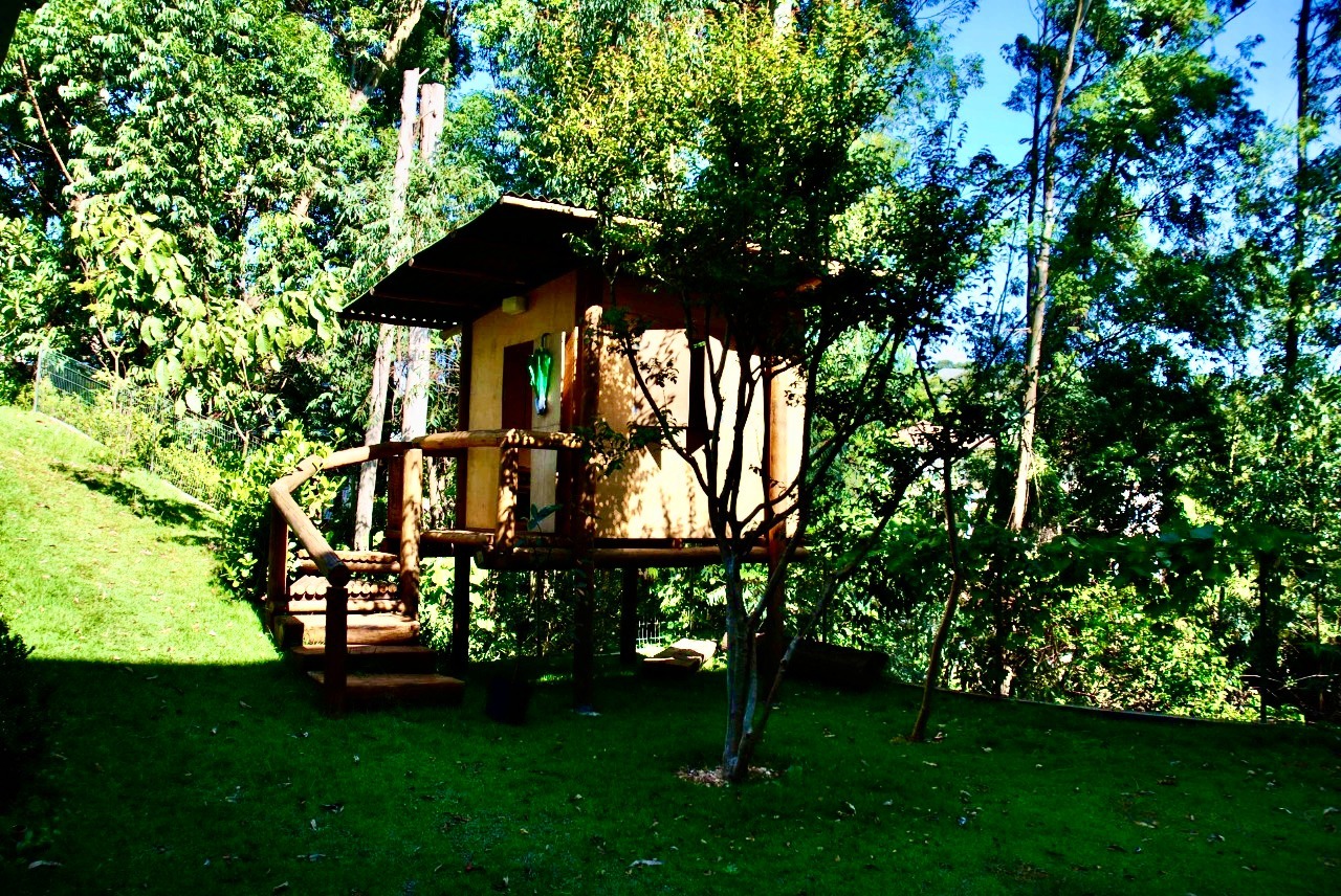 Casa, 4 quartos, 900 m² - Foto 21