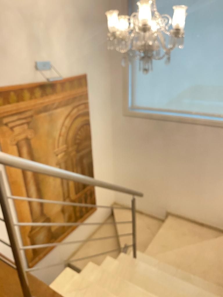 Casa, 4 quartos, 445 m² - Foto 13
