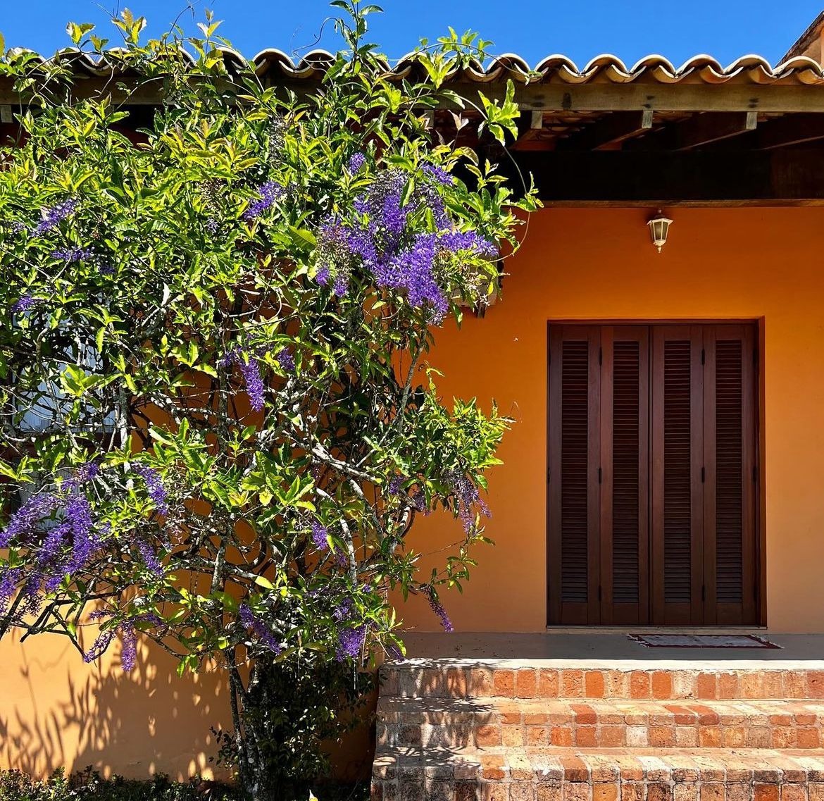 Casa, 4 quartos, 1000 m² - Foto 7