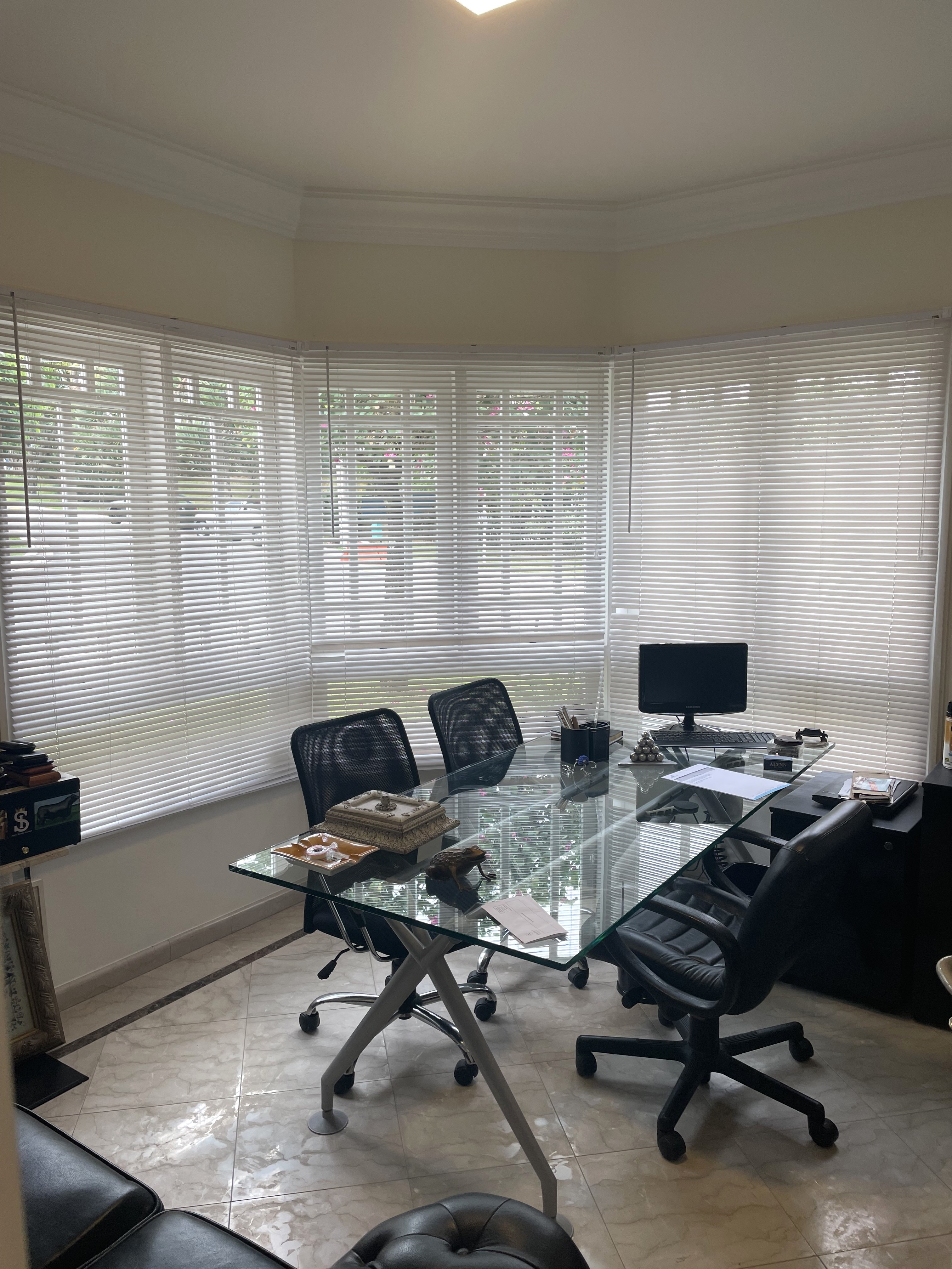 Casa, 5 quartos, 520 m² - Foto 9