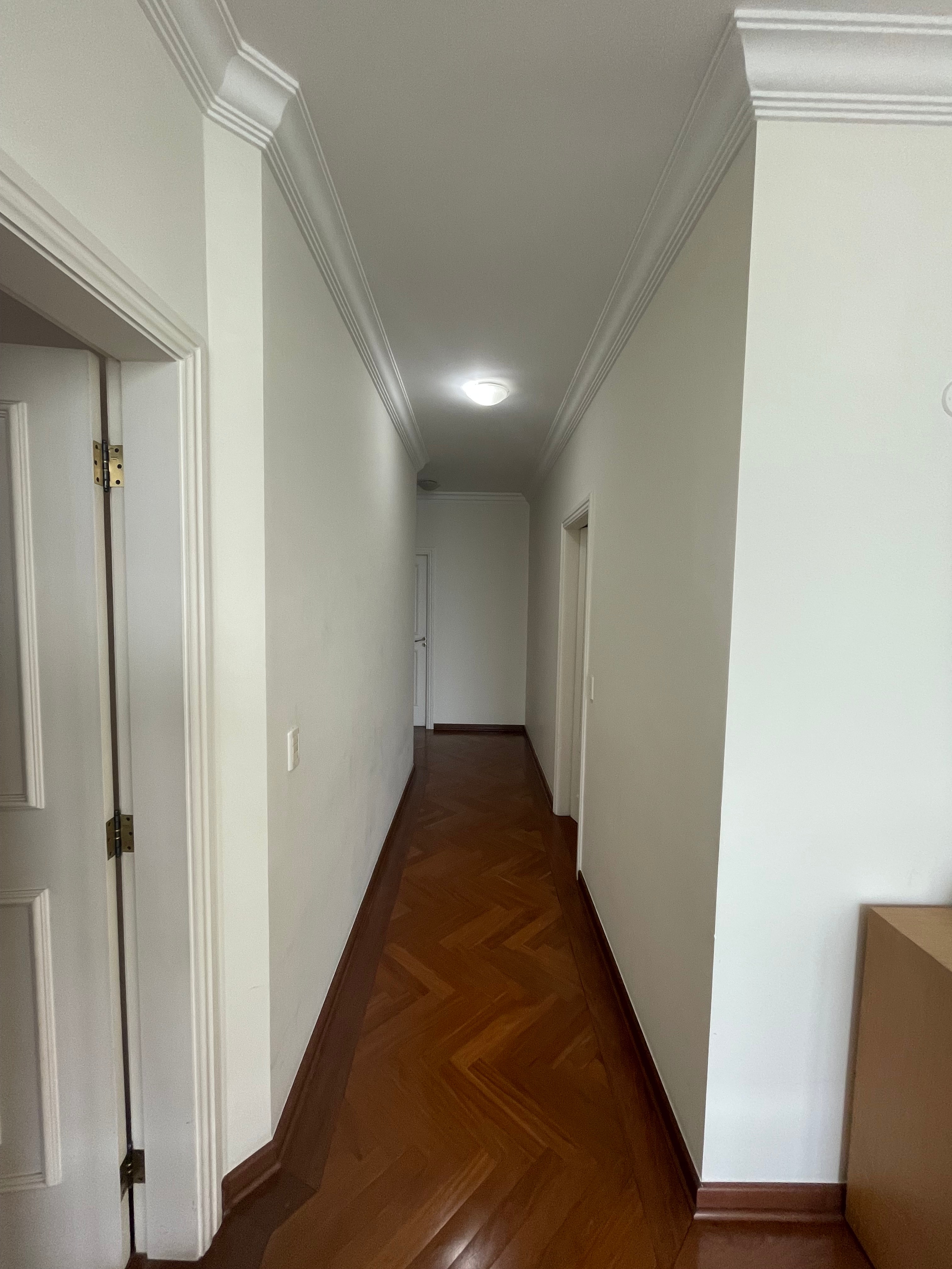 Casa, 5 quartos, 520 m² - Foto 54