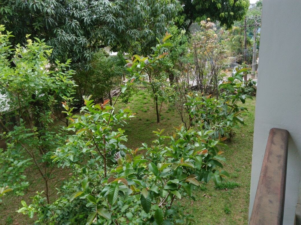 Casa, 7 quartos, 1800 m² - Foto 18