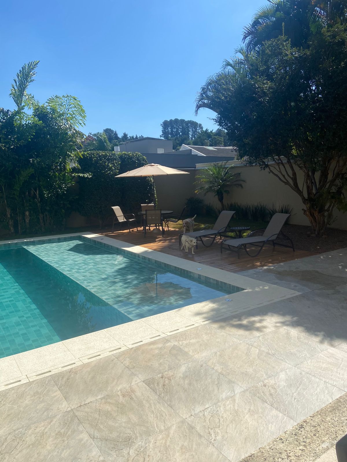 Casa, 4 quartos, 585 m² - Foto 33