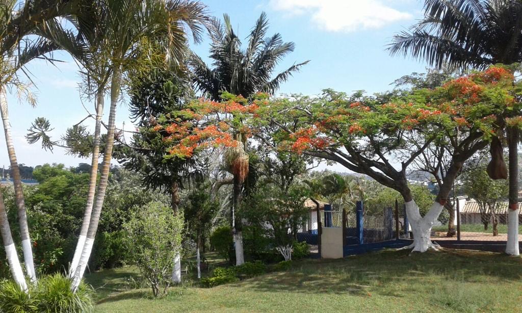 Terreno, 1 hectares - Foto 16
