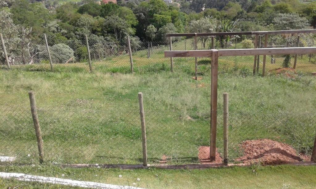 Terreno, 1 hectares - Foto 3
