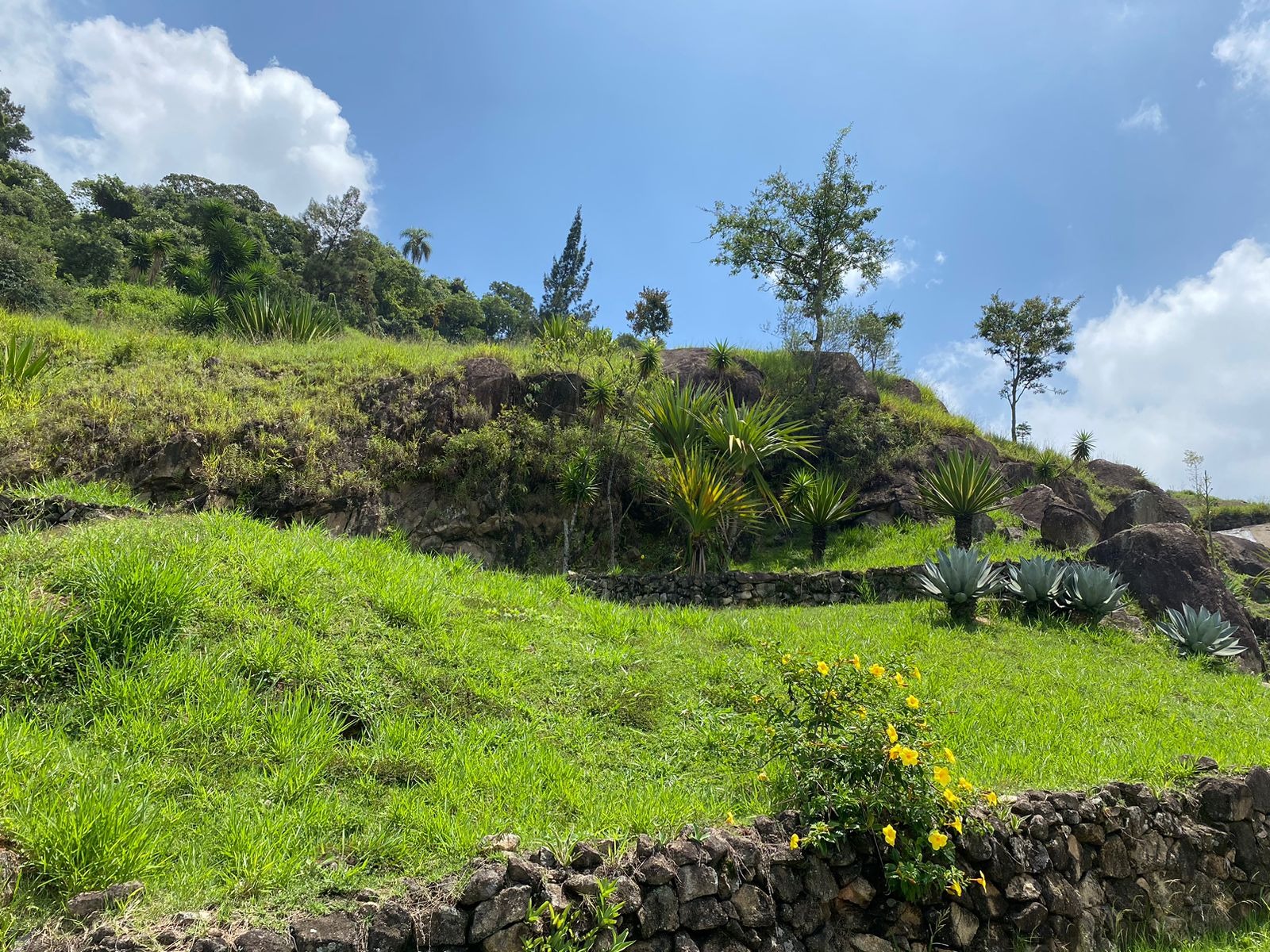 Terreno, 762 m² - Foto 13